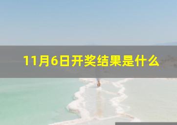 11月6日开奖结果是什么