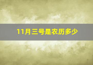 11月三号是农历多少