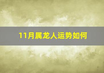 11月属龙人运势如何