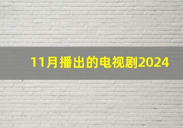 11月播出的电视剧2024