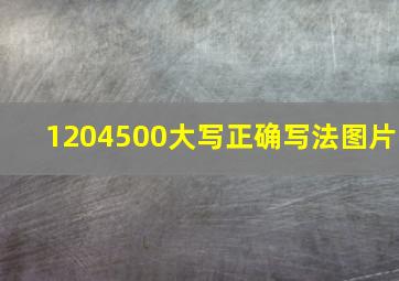 1204500大写正确写法图片