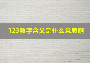 123数字含义是什么意思啊