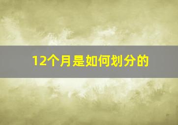 12个月是如何划分的