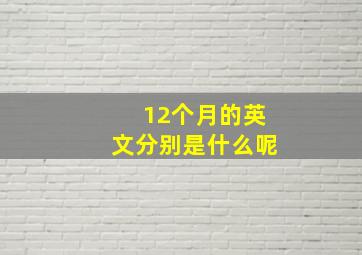 12个月的英文分别是什么呢