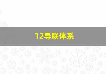 12导联体系