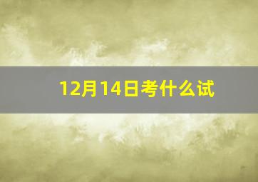 12月14日考什么试