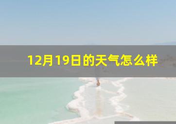 12月19日的天气怎么样