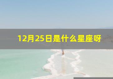 12月25日是什么星座呀