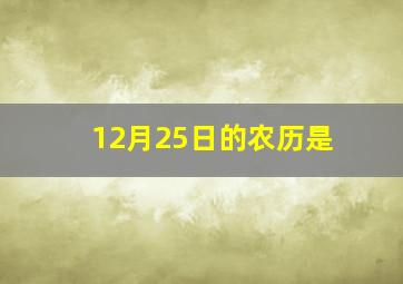 12月25日的农历是