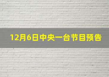 12月6日中央一台节目预告