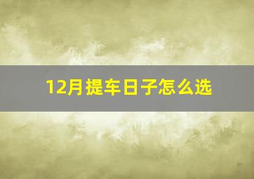 12月提车日子怎么选