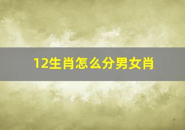 12生肖怎么分男女肖