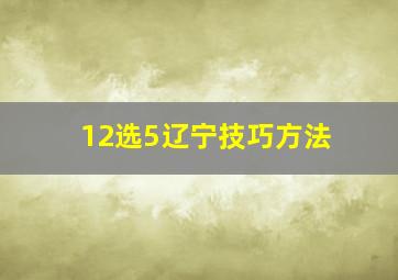 12选5辽宁技巧方法