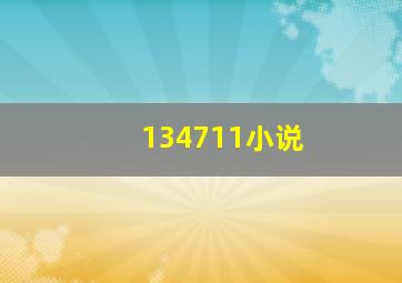 134711小说