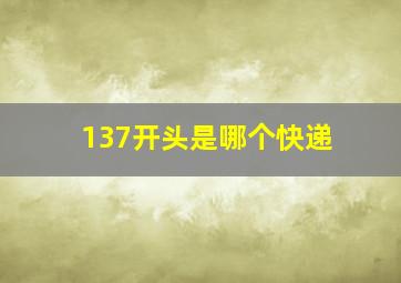 137开头是哪个快递