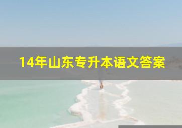 14年山东专升本语文答案