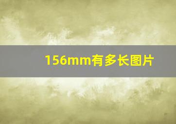 156mm有多长图片