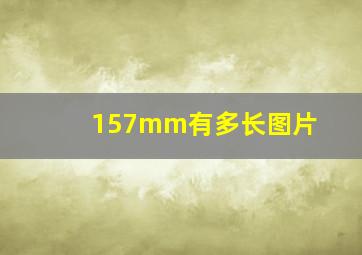 157mm有多长图片