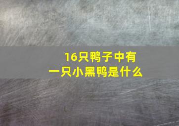 16只鸭子中有一只小黑鸭是什么