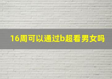 16周可以通过b超看男女吗