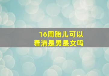 16周胎儿可以看清是男是女吗