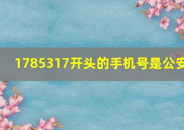 1785317开头的手机号是公安