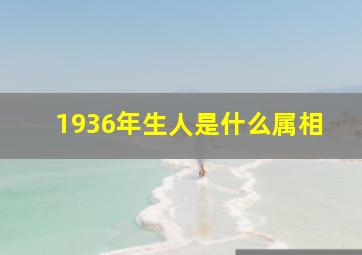 1936年生人是什么属相