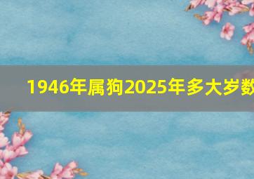 1946年属狗2025年多大岁数