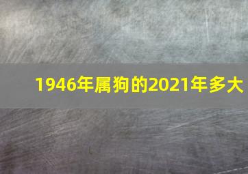 1946年属狗的2021年多大