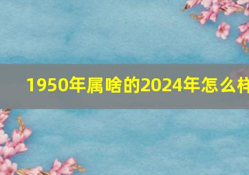 1950年属啥的2024年怎么样