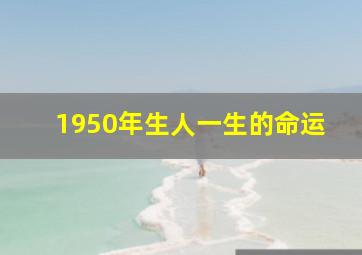 1950年生人一生的命运