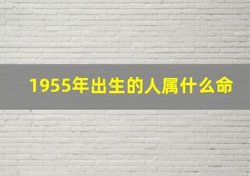 1955年出生的人属什么命