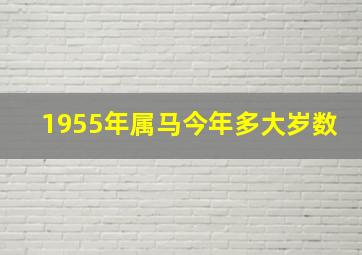 1955年属马今年多大岁数