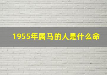 1955年属马的人是什么命