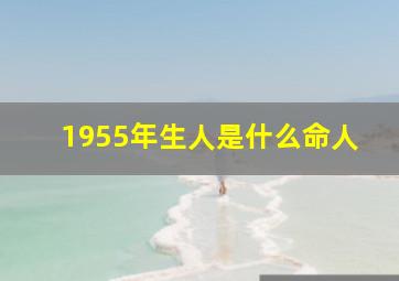 1955年生人是什么命人