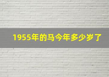 1955年的马今年多少岁了