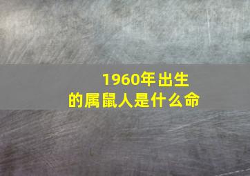 1960年出生的属鼠人是什么命