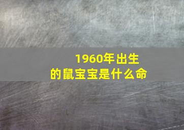 1960年出生的鼠宝宝是什么命