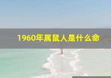 1960年属鼠人是什么命