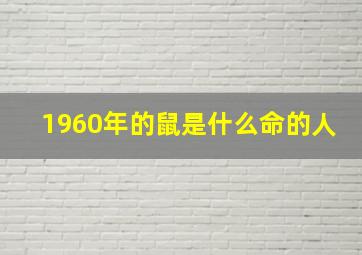 1960年的鼠是什么命的人