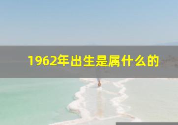 1962年出生是属什么的