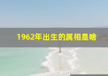 1962年出生的属相是啥