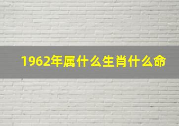 1962年属什么生肖什么命