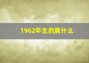 1962年生的属什么