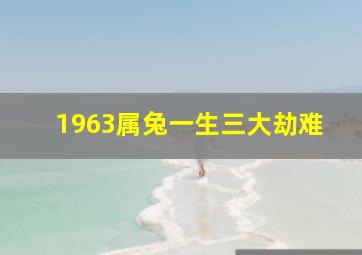 1963属兔一生三大劫难