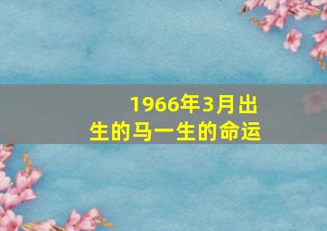 1966年3月出生的马一生的命运