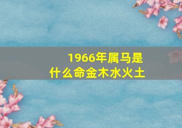 1966年属马是什么命金木水火土