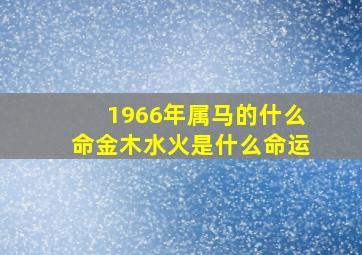 1966年属马的什么命金木水火是什么命运