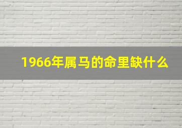 1966年属马的命里缺什么