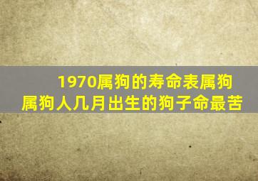 1970属狗的寿命表属狗属狗人几月出生的狗子命最苦